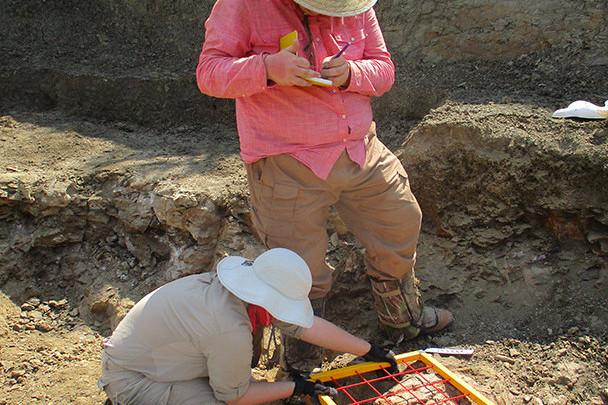<a href='http://qnh1kry.wenxue2010.net'>bv伟德ios下载</a>学生在麦卡尔哈尼采石场测绘三角龙骨骼.