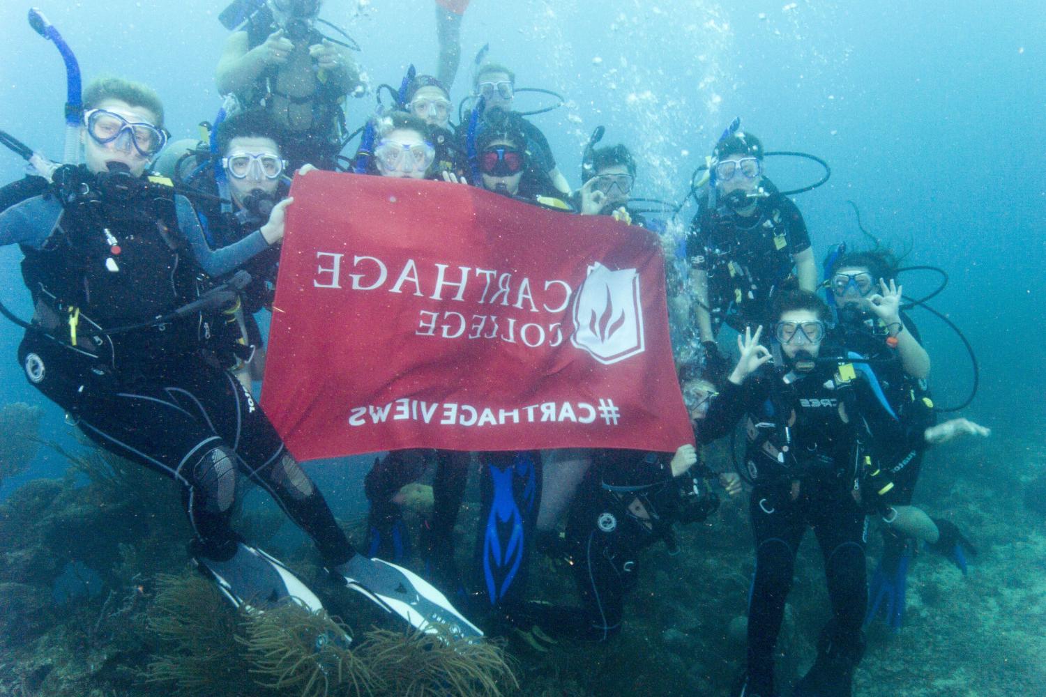 学生们手持<a href='http://qnh1kry.wenxue2010.net'>bv伟德ios下载</a>旗帜，在j学期洪都拉斯游学之旅中潜水.